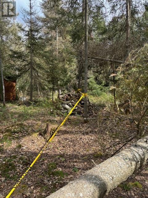 












PT 5 HEMLOCK ISLAND

,
East Ferris,







Ontario
P0H1K0

