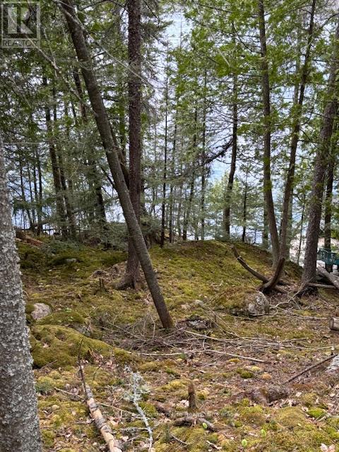 












PT 5 HEMLOCK ISLAND

,
East Ferris,







Ontario
P0H1K0

