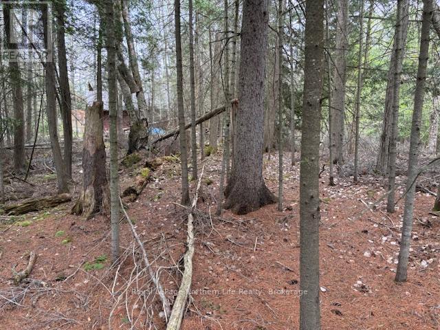 












PT 5 HEMLOCK ISLAND

,
East Ferris,







Ontario
P0H1K0

