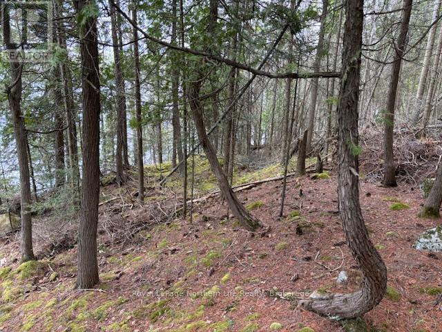 












PT 5 HEMLOCK ISLAND

,
East Ferris,







Ontario
P0H1K0

