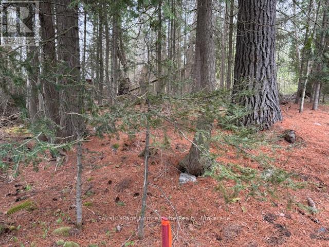 












PT 5 HEMLOCK ISLAND

,
East Ferris,







Ontario
P0H1K0

