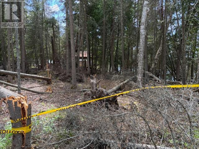 












PT 5 HEMLOCK ISLAND

,
East Ferris,







Ontario
P0H1K0

