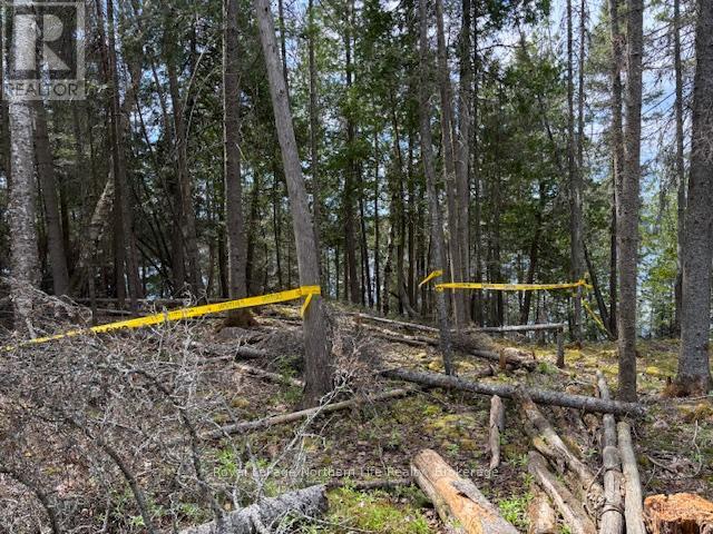 












PT 5 HEMLOCK ISLAND

,
East Ferris,







Ontario
P0H1K0

