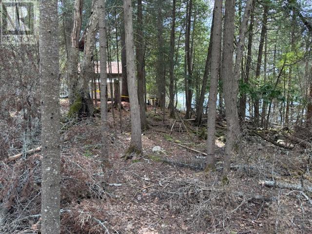 












PT 5 HEMLOCK ISLAND

,
East Ferris,







Ontario
P0H1K0

