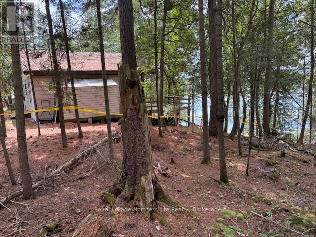 












PT 5 HEMLOCK ISLAND

,
East Ferris,







Ontario
P0H1K0


