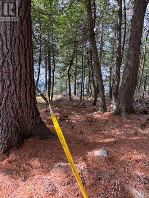 












PT 5 HEMLOCK ISLAND

,
East Ferris,







Ontario
P0H1K0

