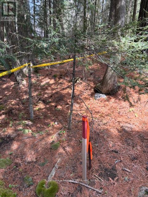












PT 5 HEMLOCK ISLAND

,
East Ferris,







Ontario
P0H1K0


