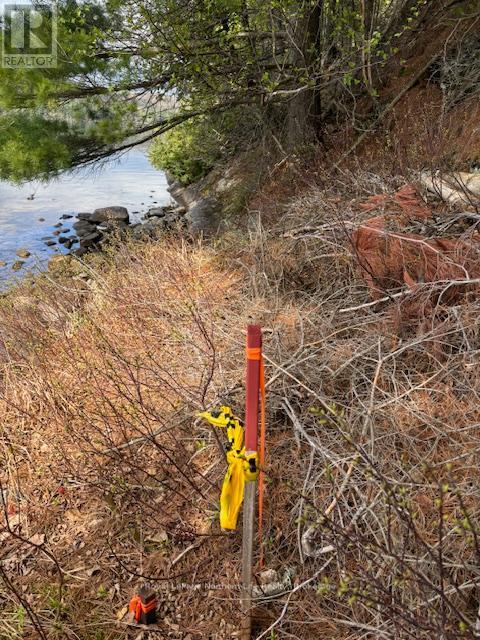 












PT 5 HEMLOCK ISLAND

,
East Ferris,







Ontario
P0H1K0

