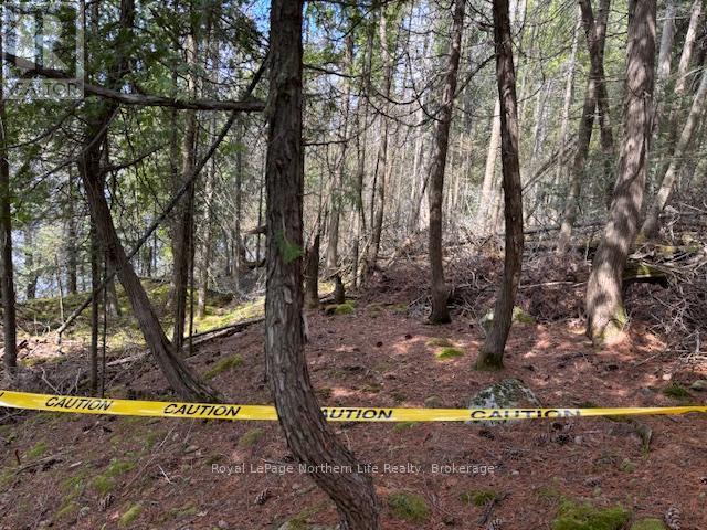 












PT 5 HEMLOCK ISLAND

,
East Ferris,







Ontario
P0H1K0


