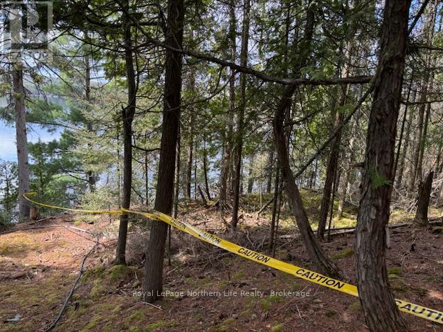 












PT 5 HEMLOCK ISLAND

,
East Ferris,







Ontario
P0H1K0

