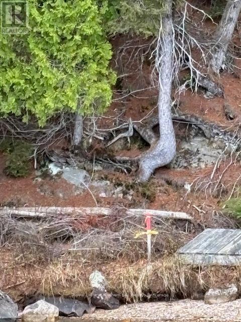












PT 5 HEMLOCK ISLAND

,
East Ferris,







Ontario
P0H1K0

