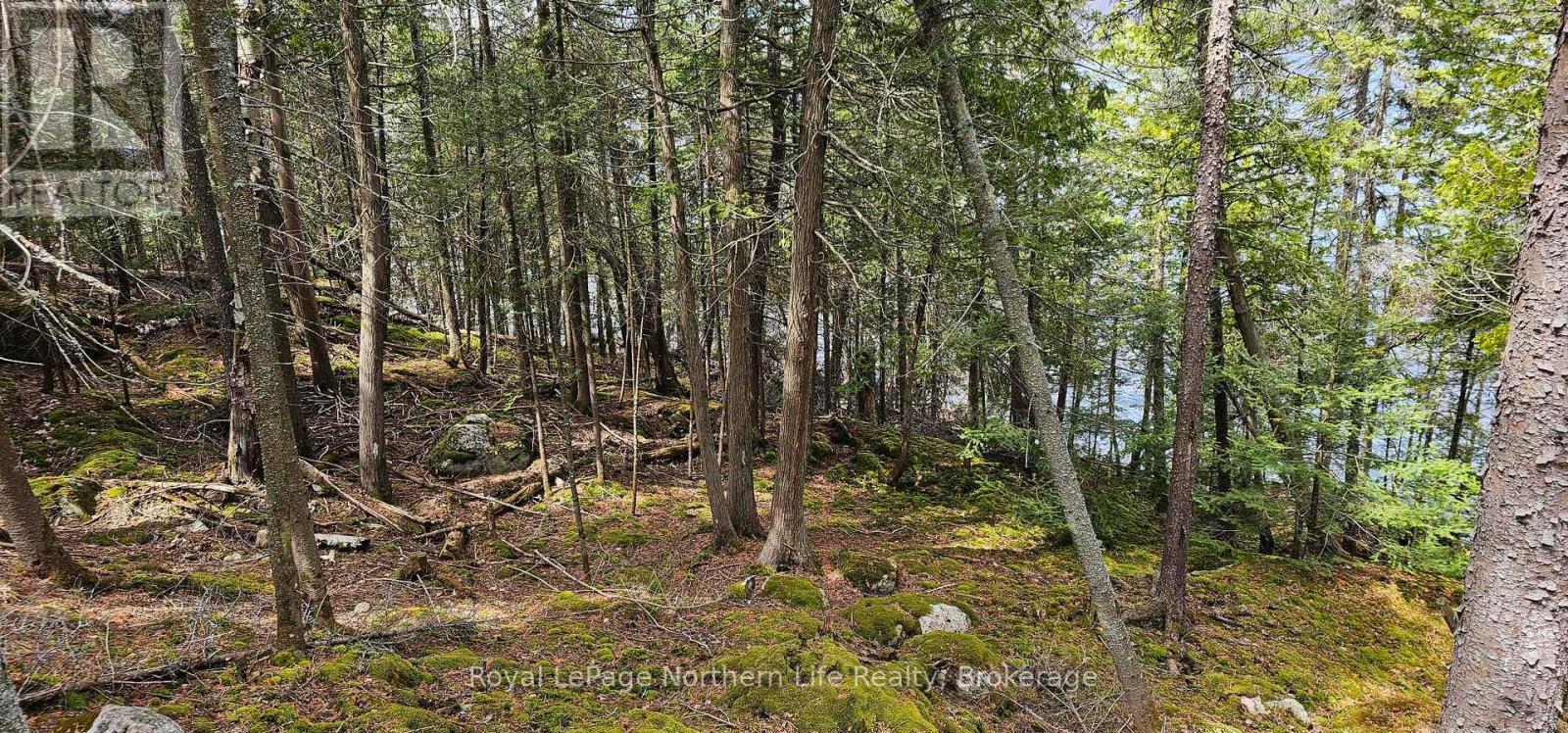 












PT 5 HEMLOCK ISLAND

,
East Ferris,







Ontario
P0H1K0

