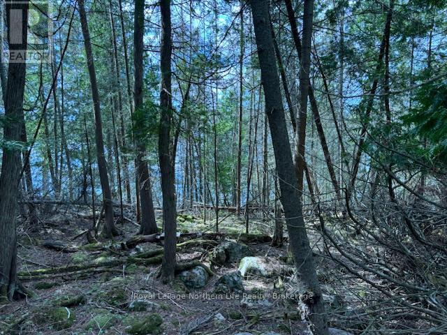 












PT 5 HEMLOCK ISLAND

,
East Ferris,







Ontario
P0H1K0

