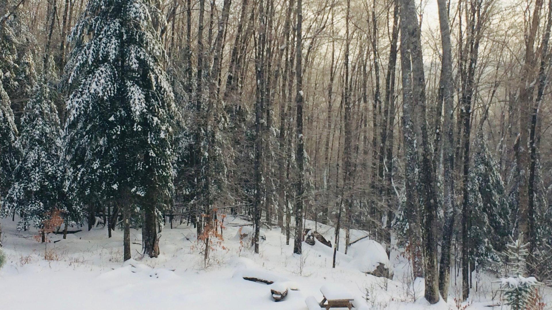 









142


Ch. de l'Orée-des-Lacs

,
Mont-Tremblant,




QC
J8E1L8

