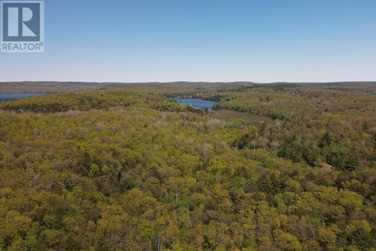 












T-6755 Lake Matinenda

,
Blind River,







Ontario
P0R1B0

