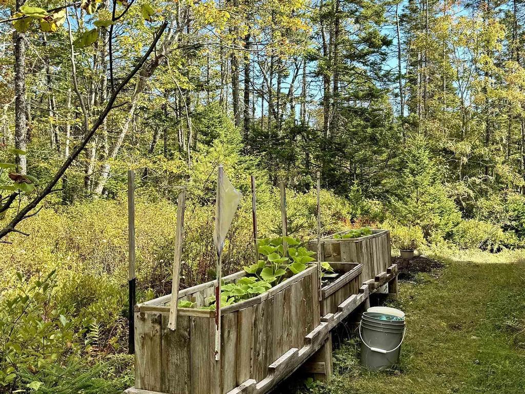 












1081 Mooseland Road

,
Tangier,







NS
B0J 3H0


