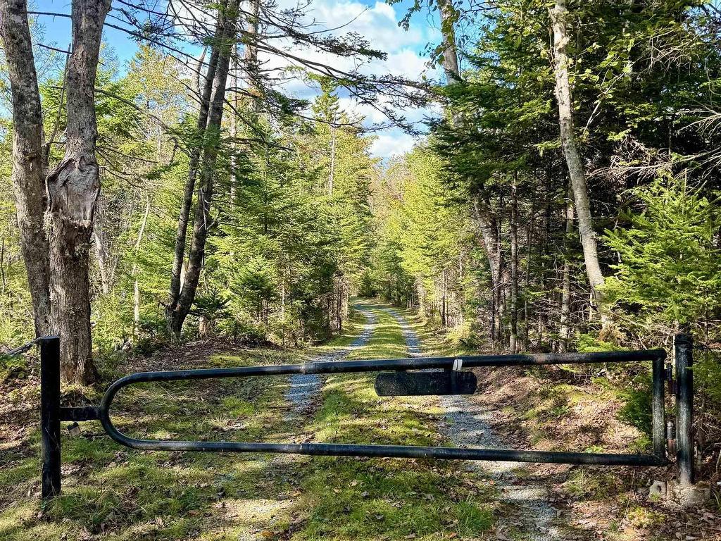 












1081 Mooseland Road

,
Tangier,







NS
B0J 3H0

