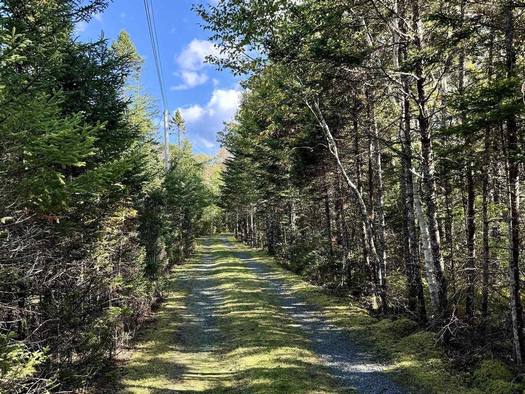 












1081 Mooseland Road

,
Tangier,







NS
B0J 3H0

