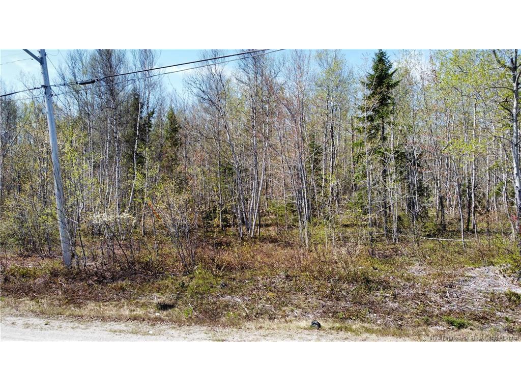 









Lot 1


O'Keefe

RD,
Miramichi,







NB
E1V 6J3

