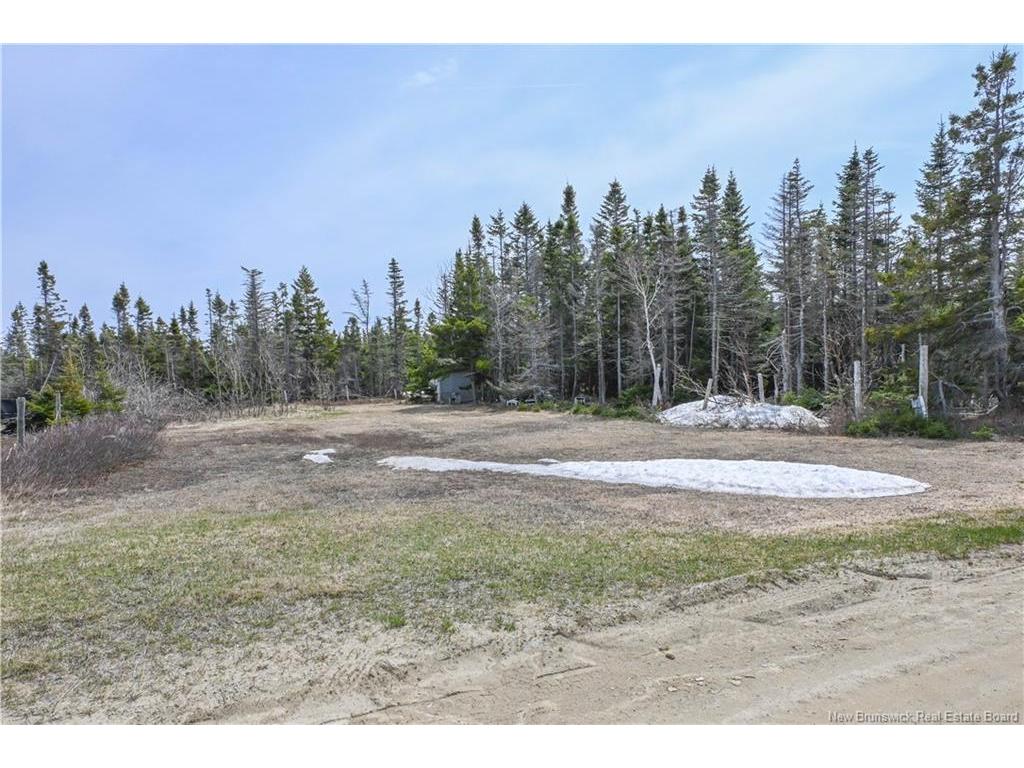 









38


Forbes

LANE,
Pointe-Alexandre,




NB
E8T 1H9

