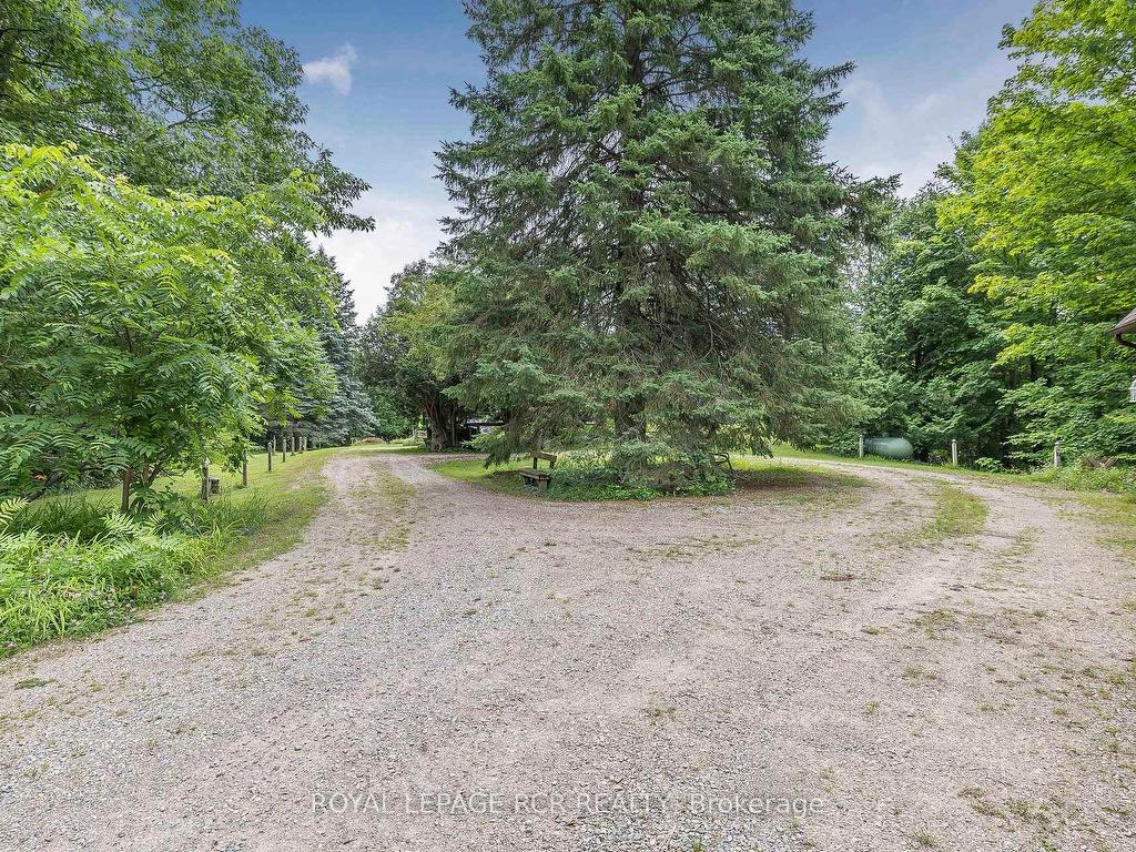 









487072


30th

Side Road,
Mono,




ON
L9V 1G8

