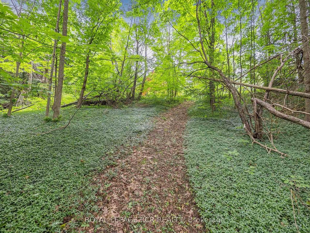 









487072


30th

Side Road,
Mono,




ON
L9V 1G8

