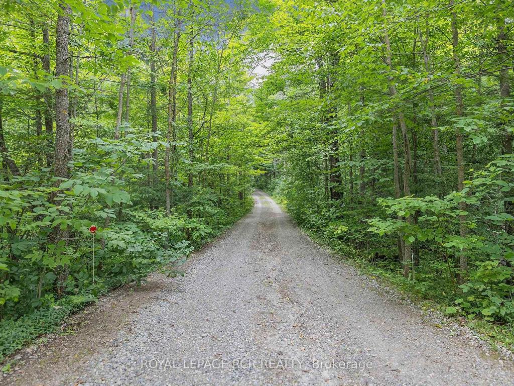 









487072


30th

Side Road,
Mono,




ON
L9V 1G8

