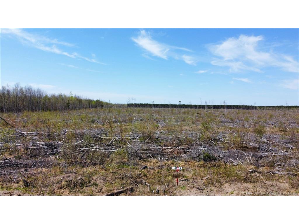 









Lot 4


O'Keefe

,
Miramichi,







NB
E1V 6J3

