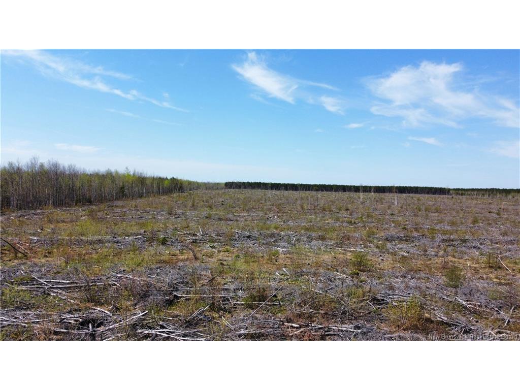 









Lot 4


O'Keefe

,
Miramichi,







NB
E1V 6J3

