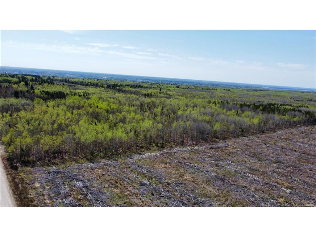 









Lot 4


O'Keefe

,
Miramichi,







NB
E1V 6J3


