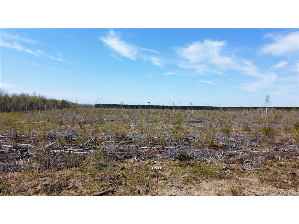 









Lot 5


O'Keefe

,
Miramichi,







NB
E1V 6J3

