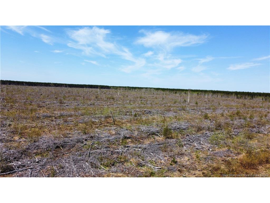 









Lot 5


O'Keefe

,
Miramichi,







NB
E1V 6J3

