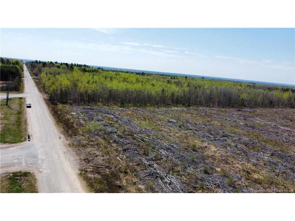 









Lot 5


O'Keefe

,
Miramichi,







NB
E1V 6J3

