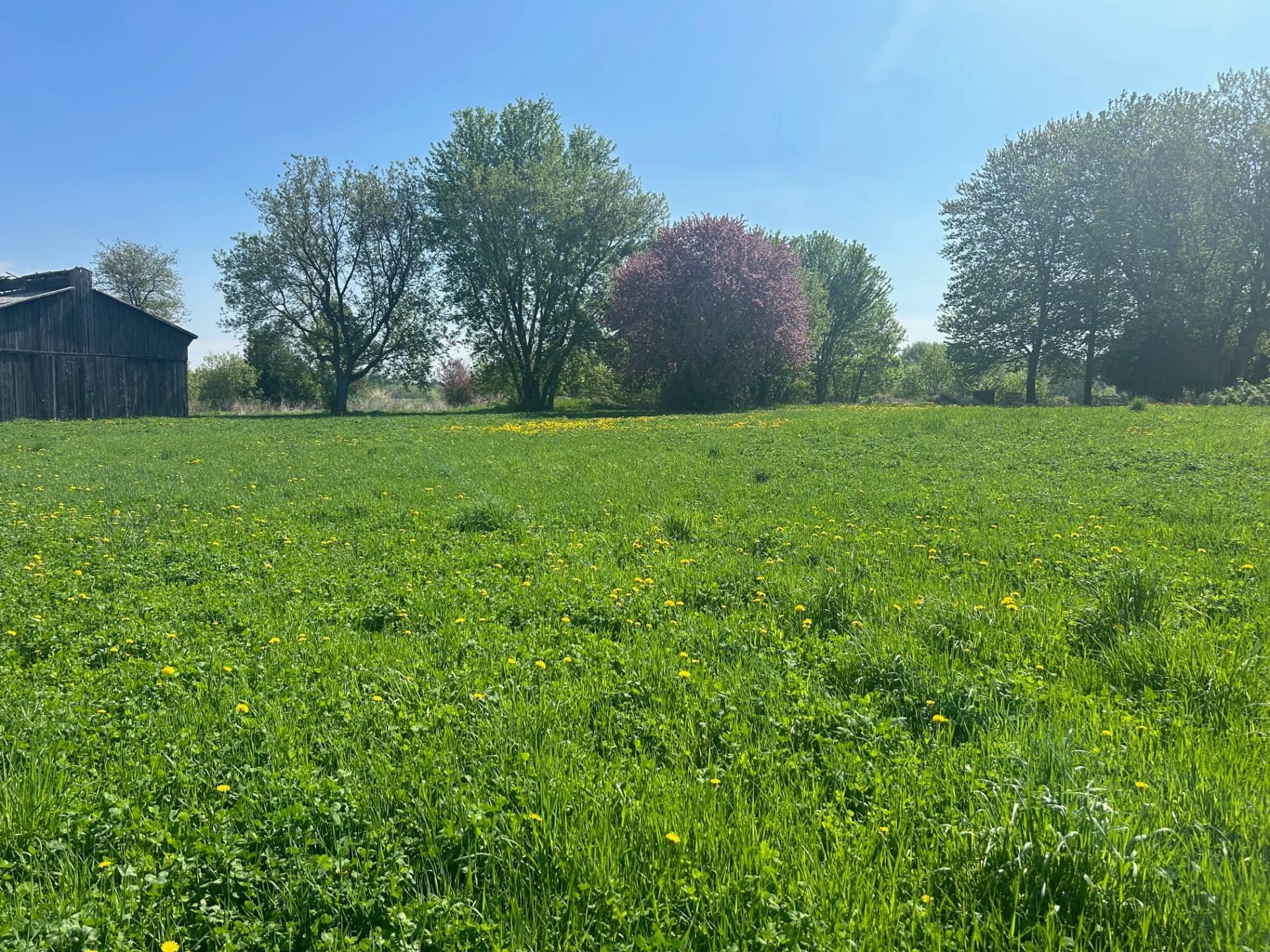 









2373Z


Ch. du Ruisseau-St-Georges S.

,
Saint-Jacques,




QC
J0K2R0

