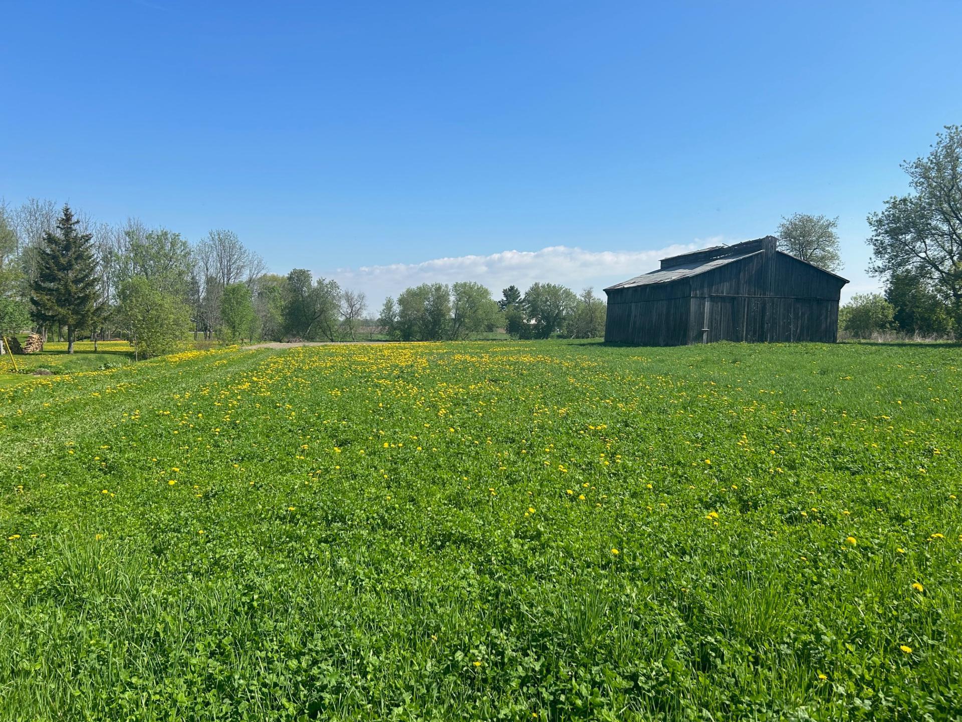 









2373Z


Ch. du Ruisseau-St-Georges S.

,
Saint-Jacques,




QC
J0K2R0

