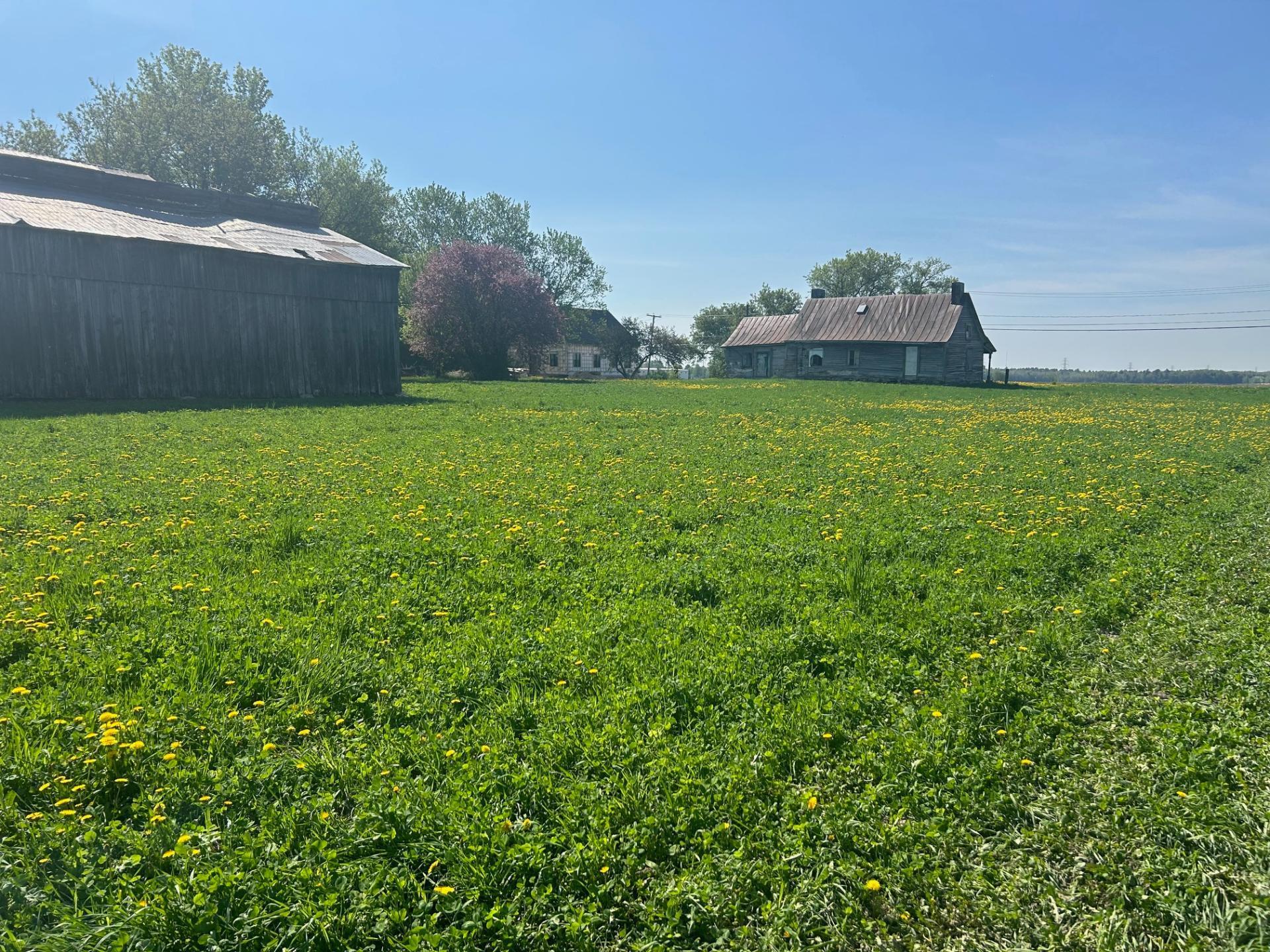 









2373Z


Ch. du Ruisseau-St-Georges S.

,
Saint-Jacques,




QC
J0K2R0

