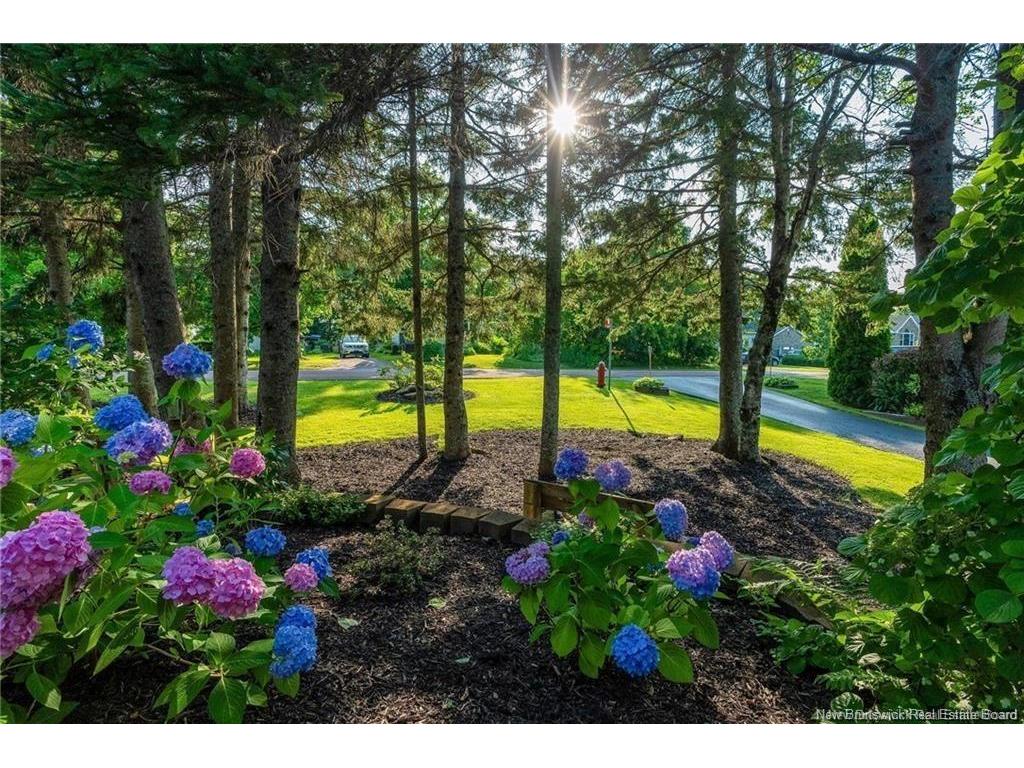 









180


Leblanc

AVE,
Shediac,




NB
E4P 1Y8

