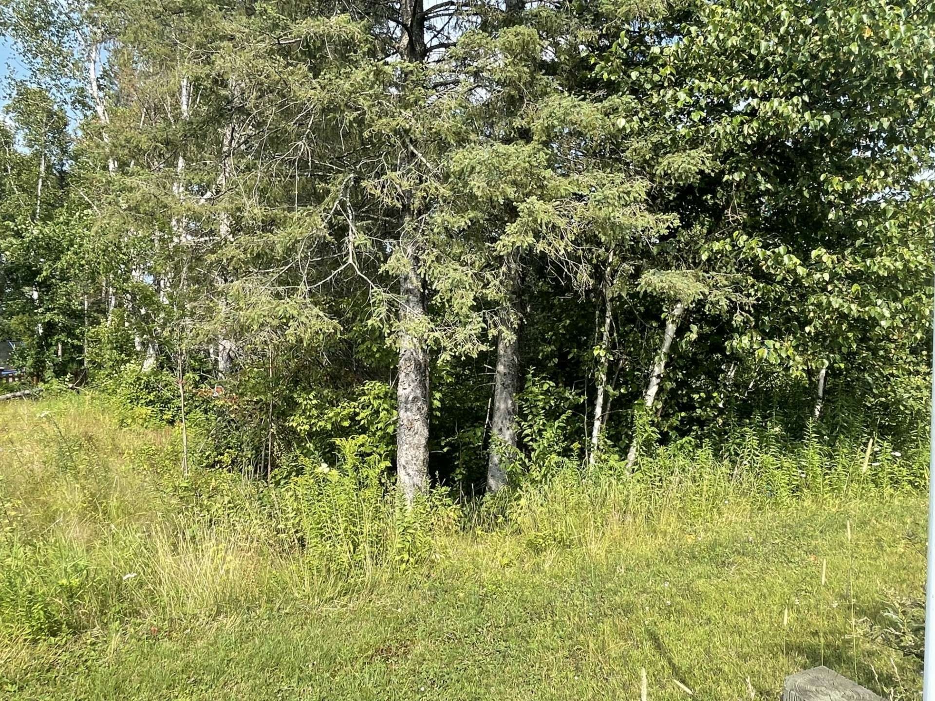 












Rue des Algonquins

,
Mont-Laurier,







QC
J9L0A4

