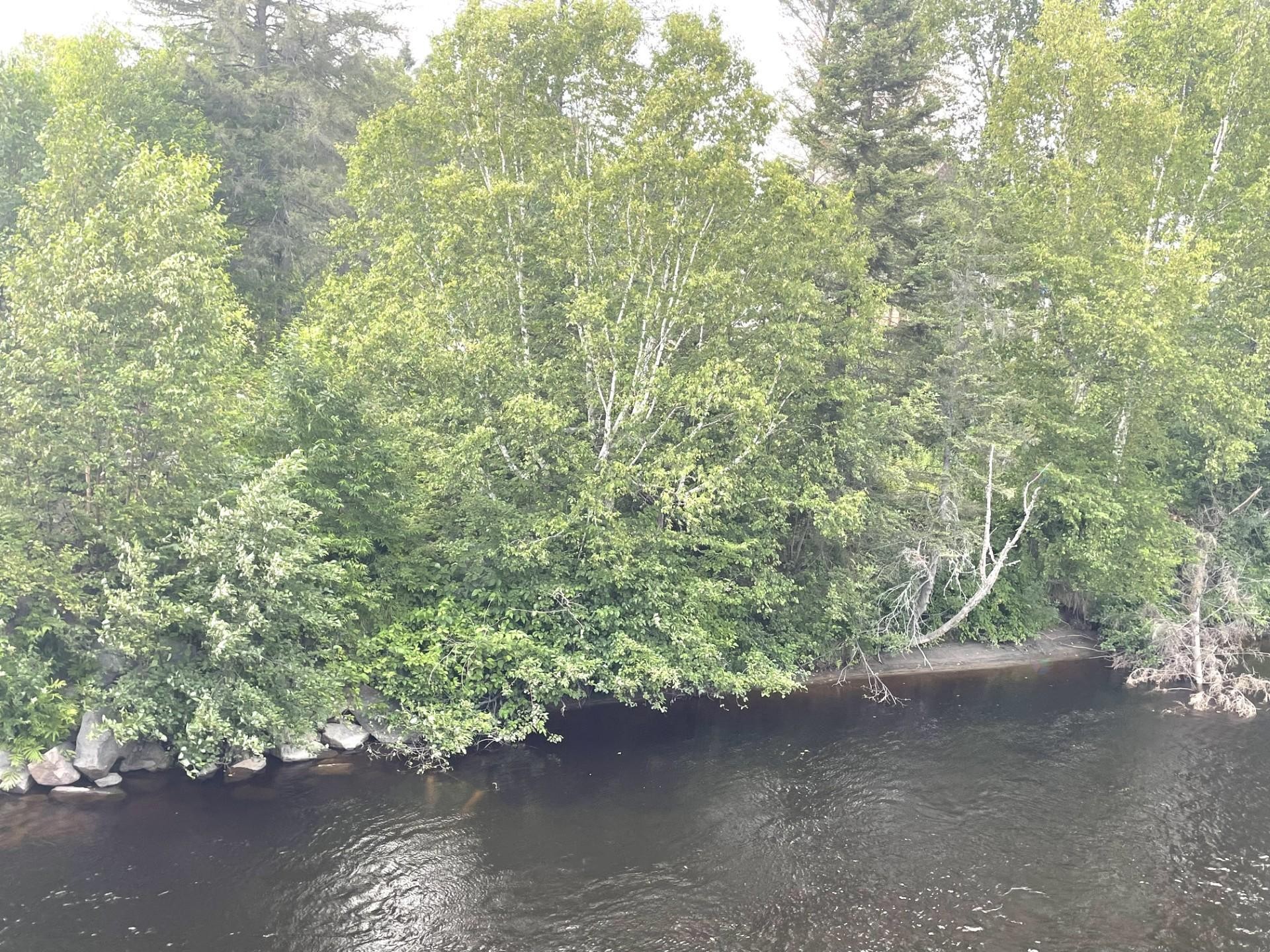 












Rue des Algonquins

,
Mont-Laurier,







QC
J9L0A4

