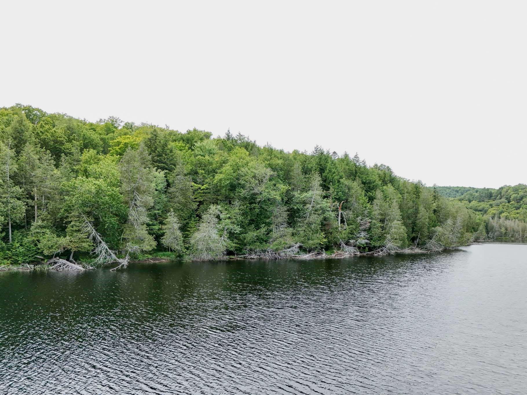 









6583


Route 315

,
Mulgrave-et-Derry,







QC
J8L2W8

