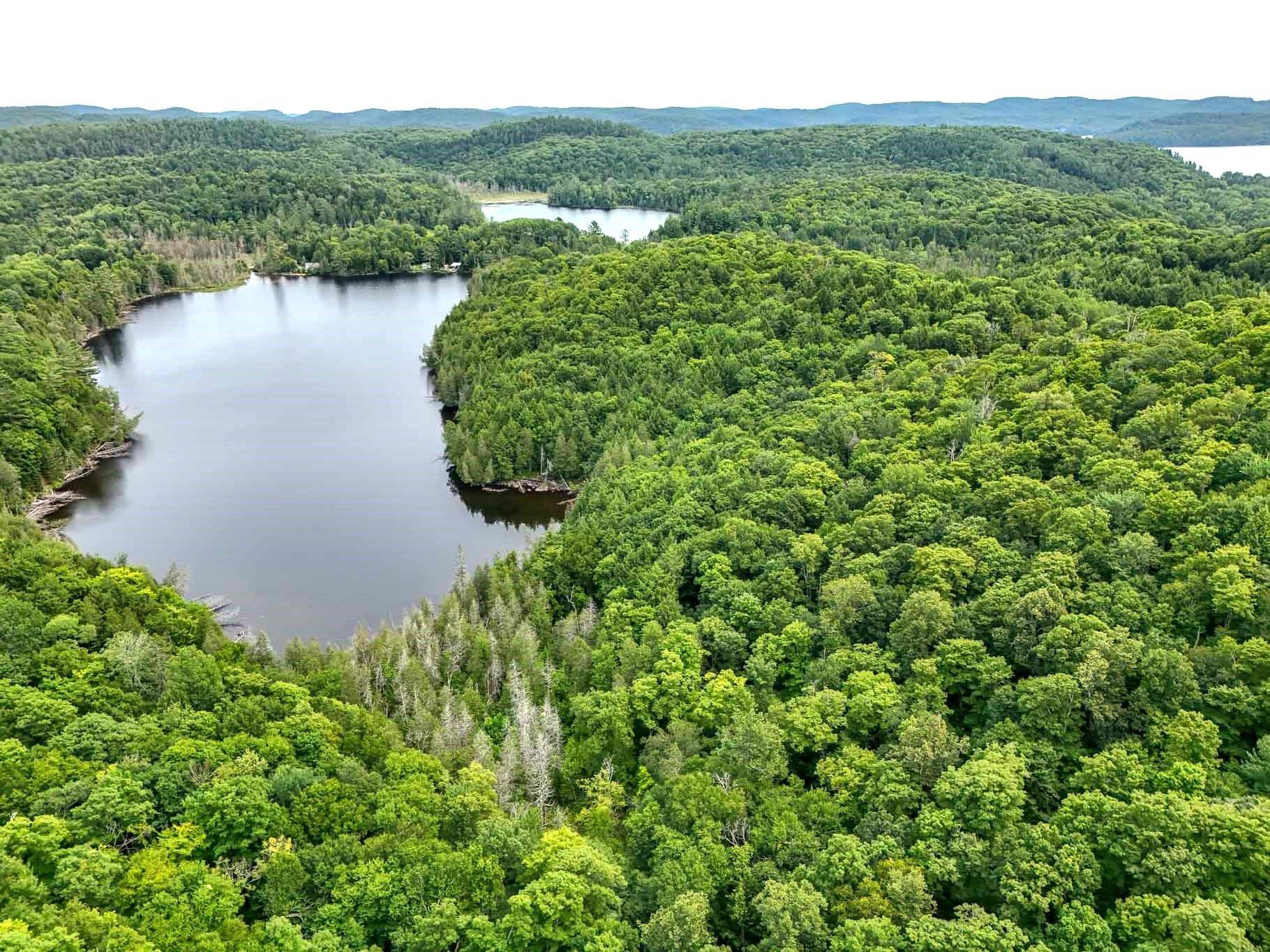 









6583


Route 315

,
Mulgrave-et-Derry,







QC
J8L2W8

