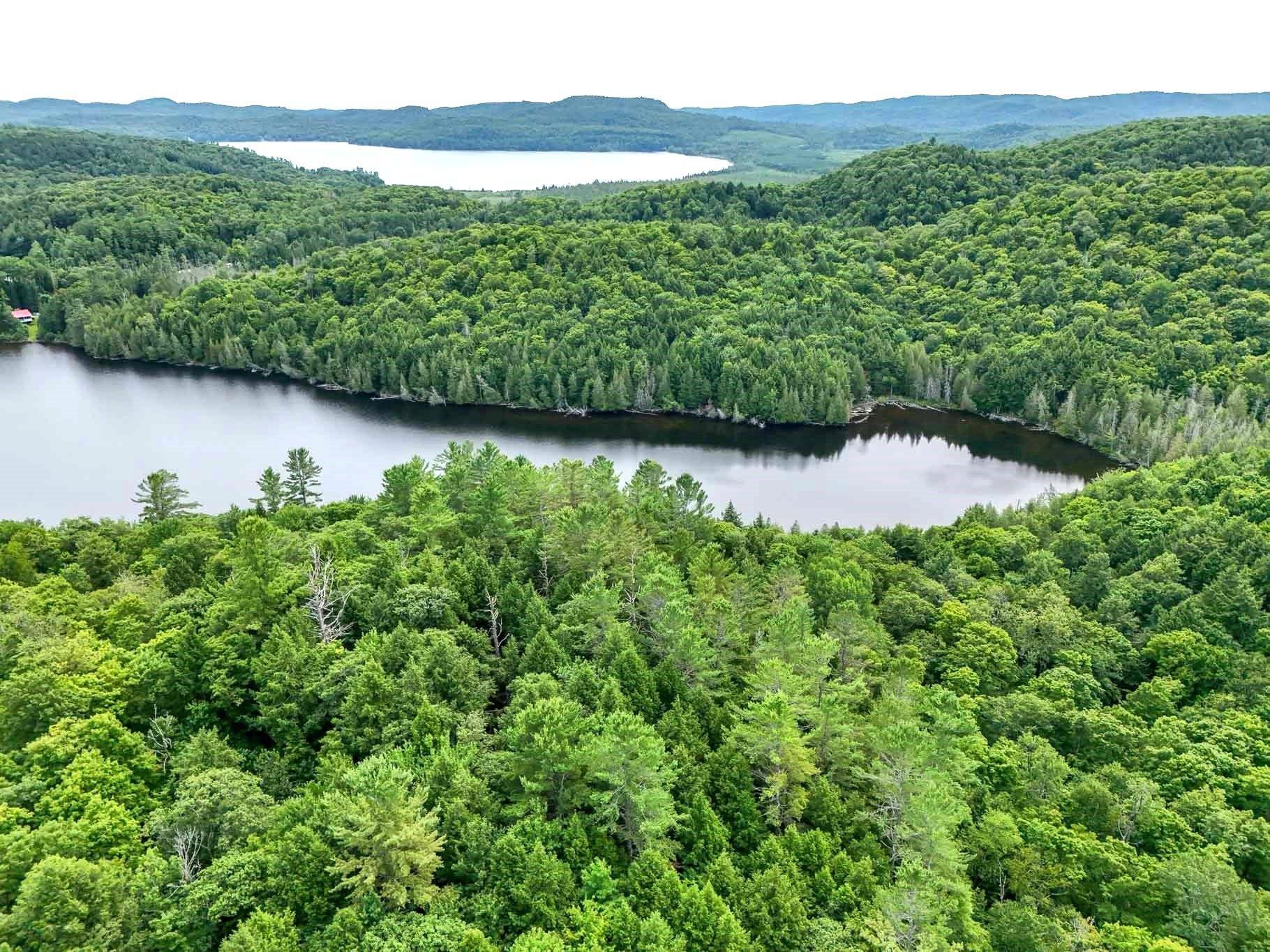 









6583


Route 315

,
Mulgrave-et-Derry,







QC
J8L2W8

