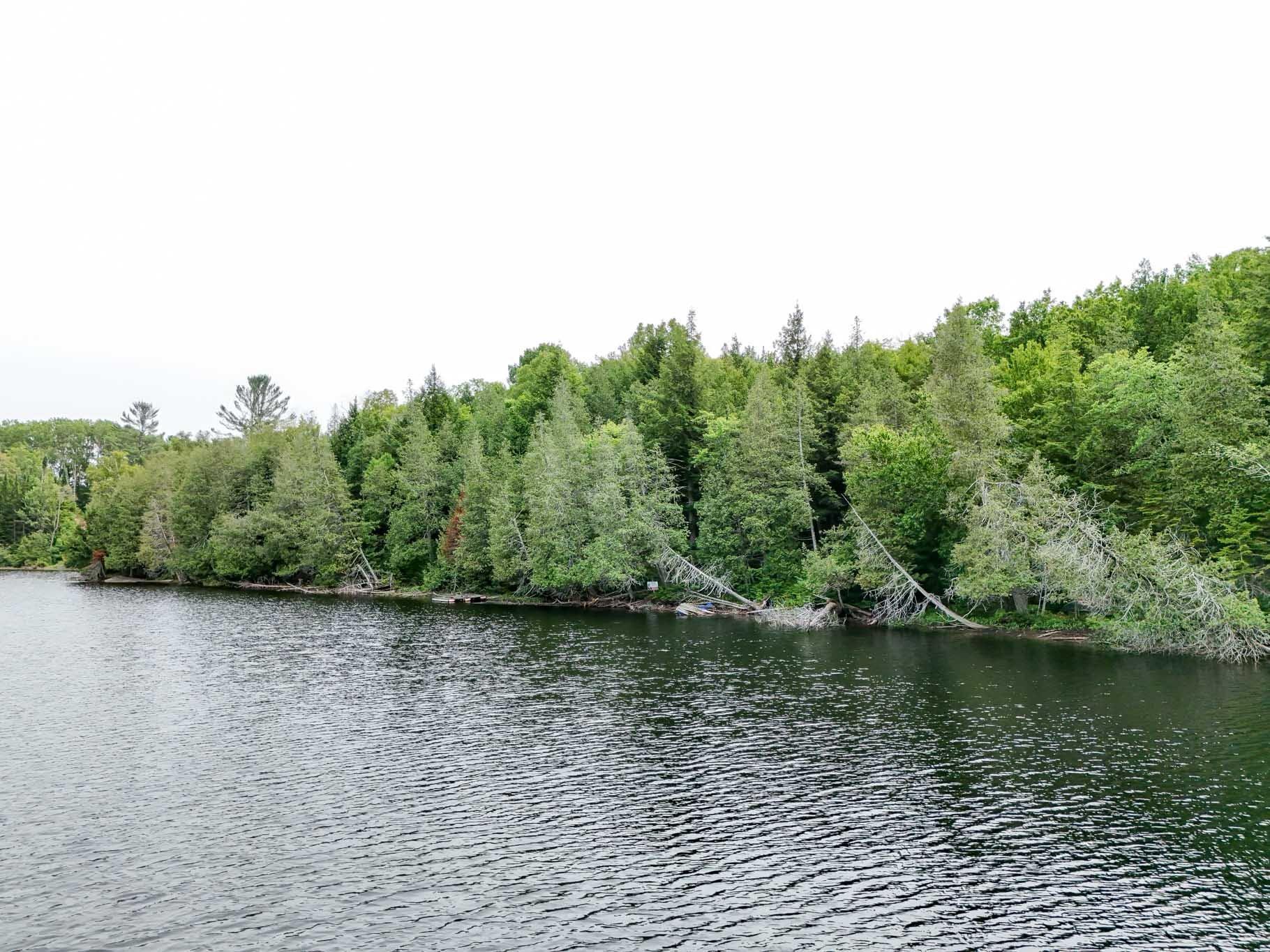 









6583


Route 315

,
Mulgrave-et-Derry,







QC
J8L2W8

