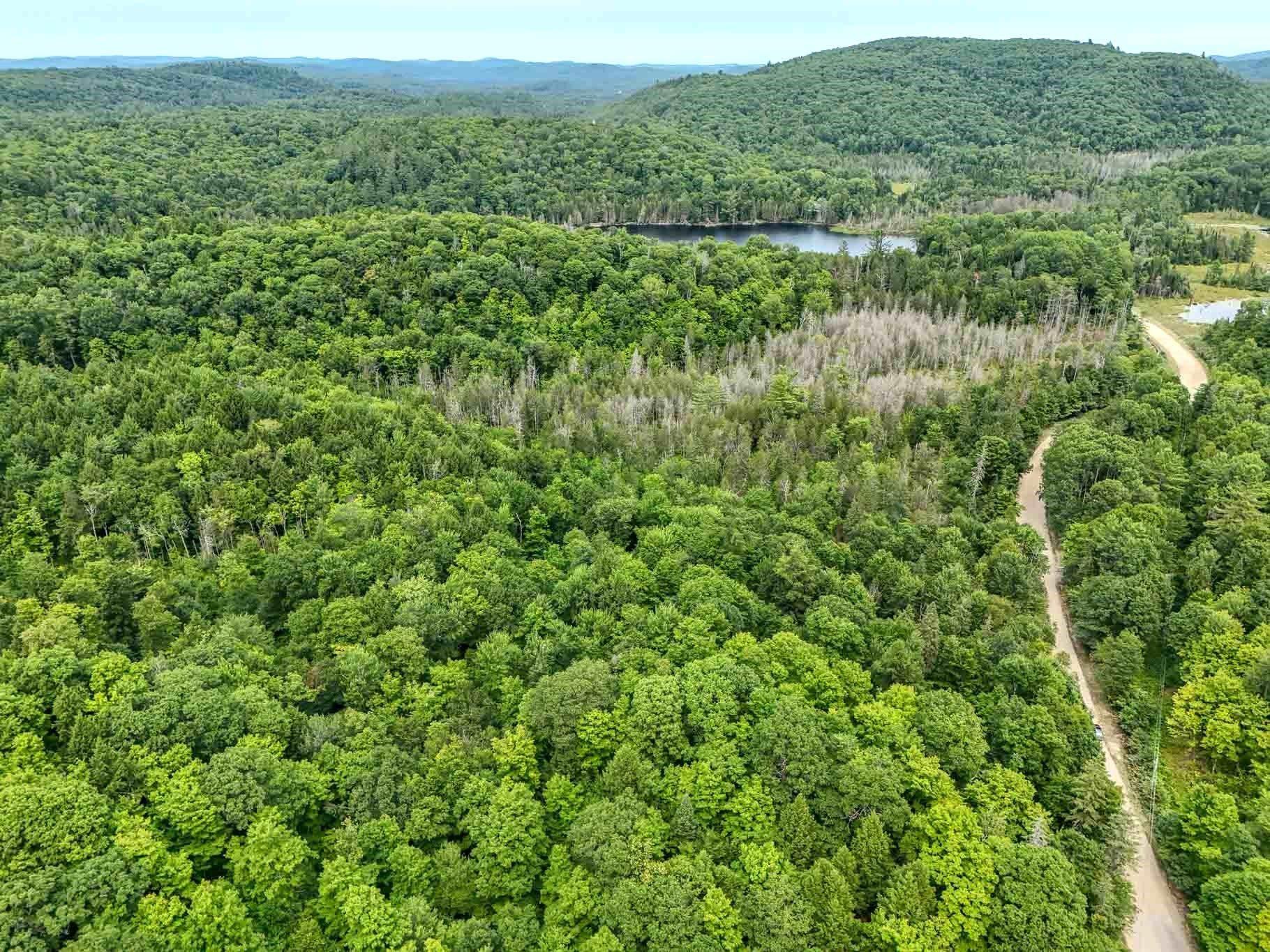 









6583


Route 315

,
Mulgrave-et-Derry,







QC
J8L2W8

