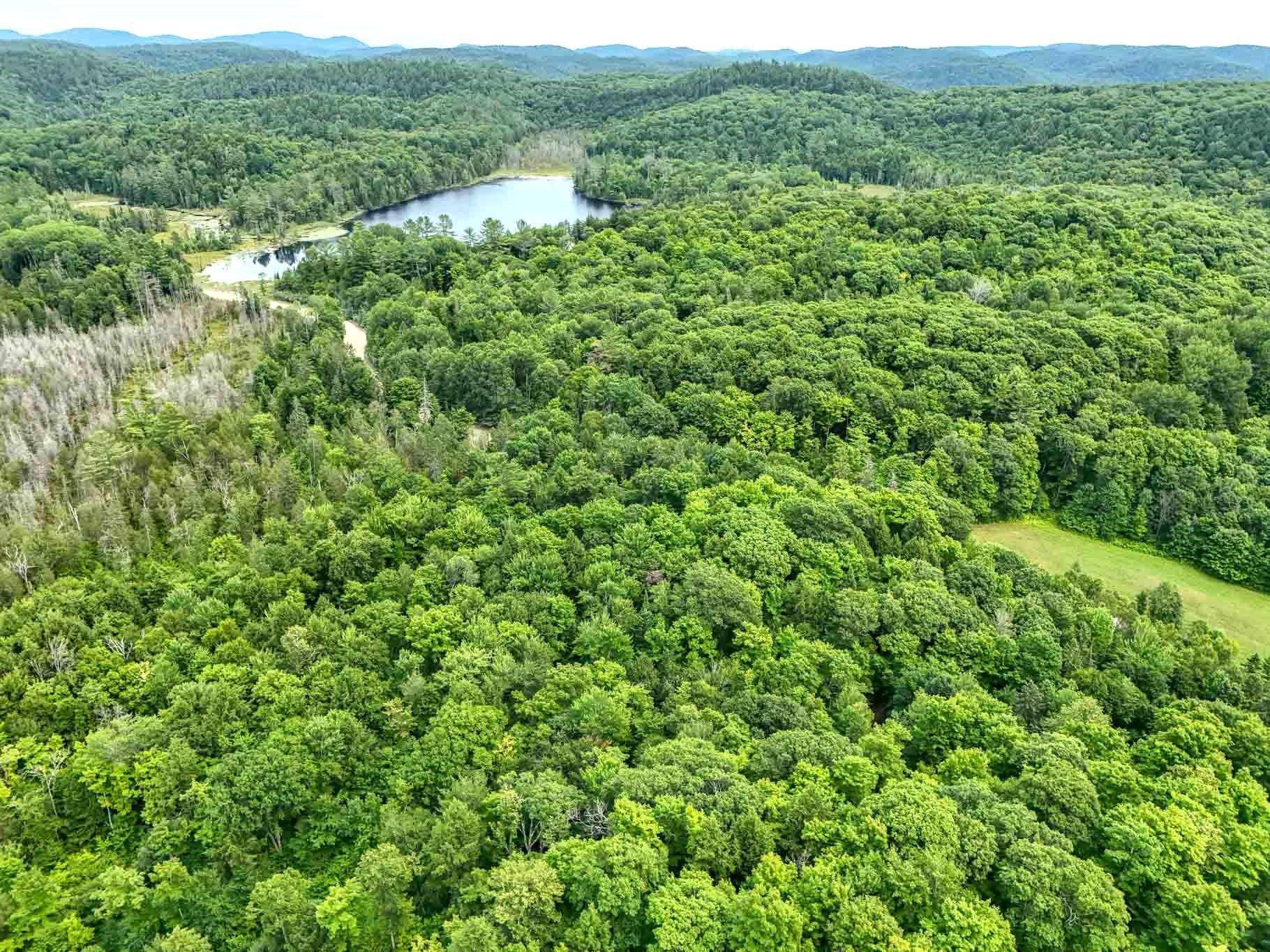 









6583


Route 315

,
Mulgrave-et-Derry,







QC
J8L2W8

