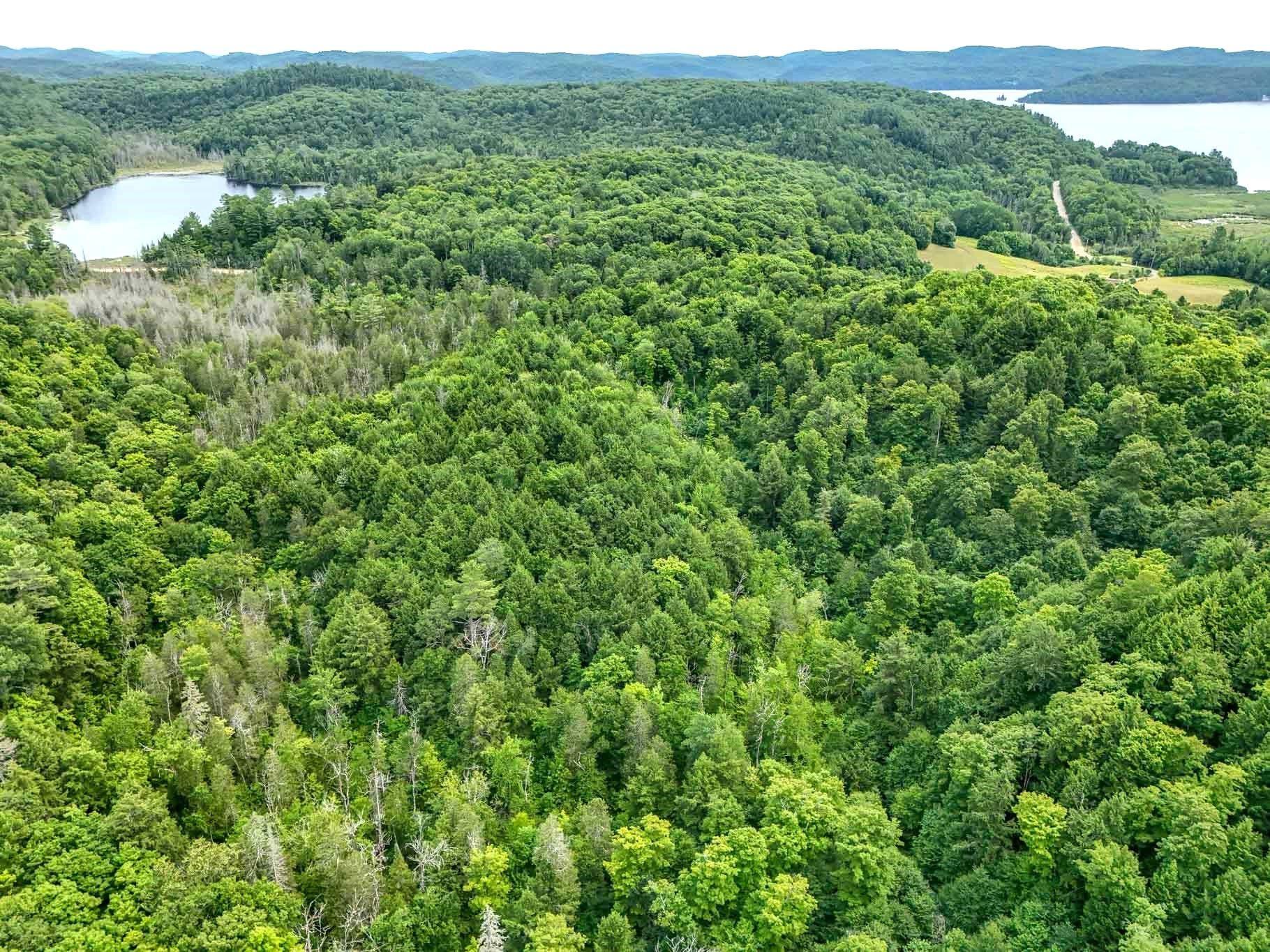 









6583


Route 315

,
Mulgrave-et-Derry,







QC
J8L2W8

