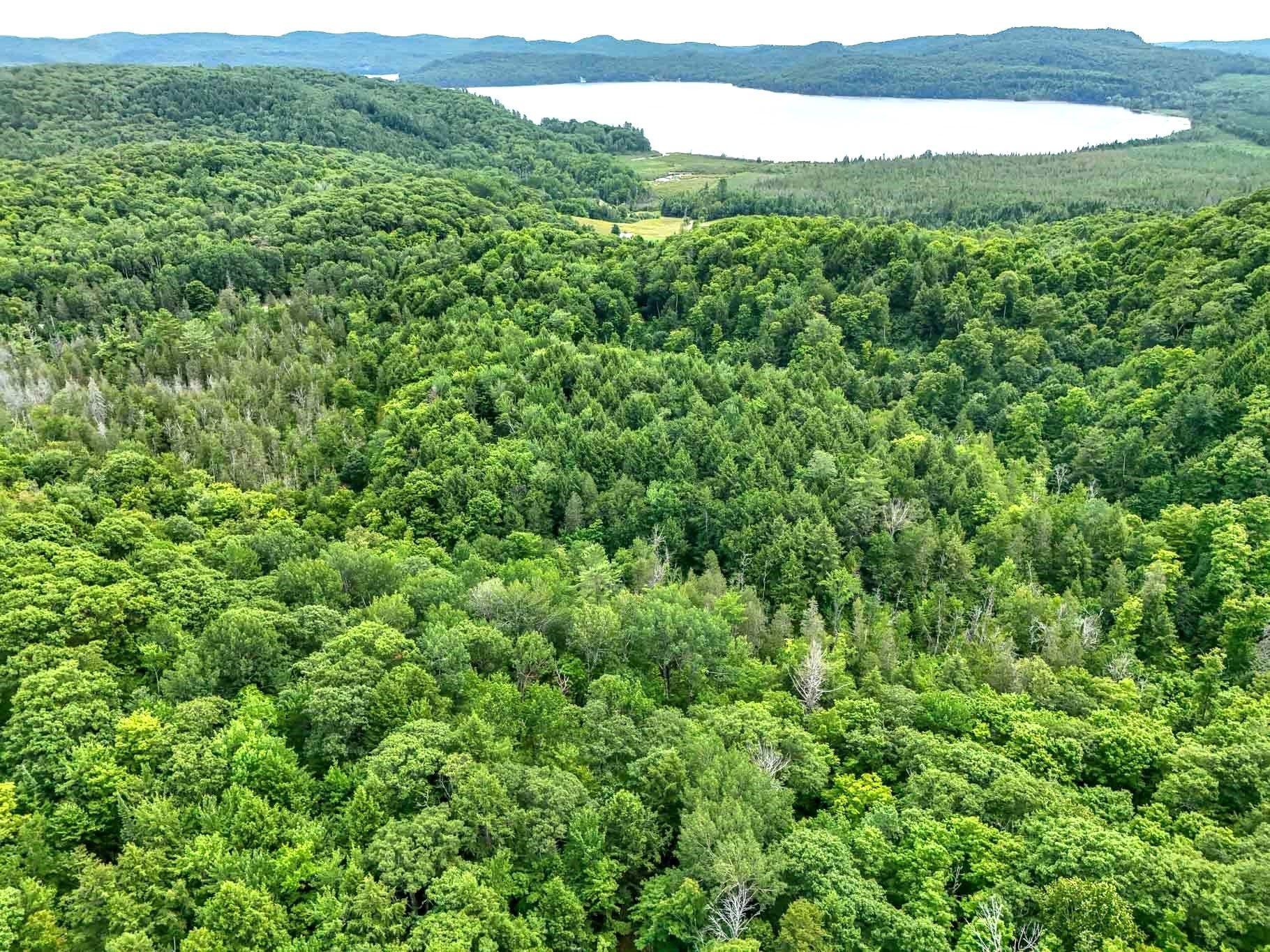 









6583


Route 315

,
Mulgrave-et-Derry,







QC
J8L2W8

