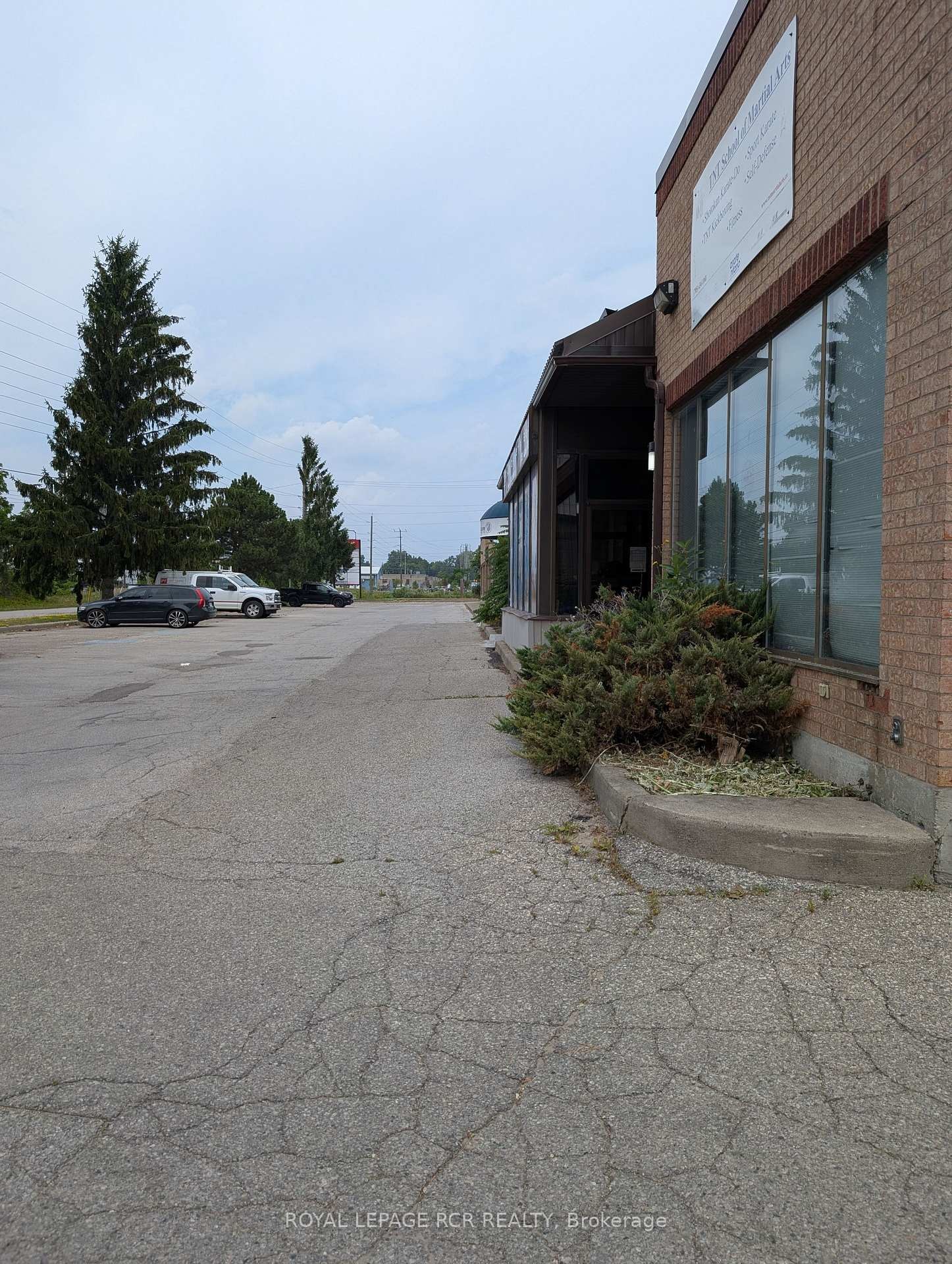 









169


Dufferin

Street South, 32s,
New Tecumseth,




ON
L9R 1E6


