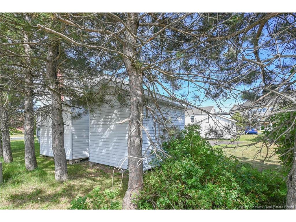 









225


de l'Eglise

AVE,
Shippagan,




NB
E8S 2K4

