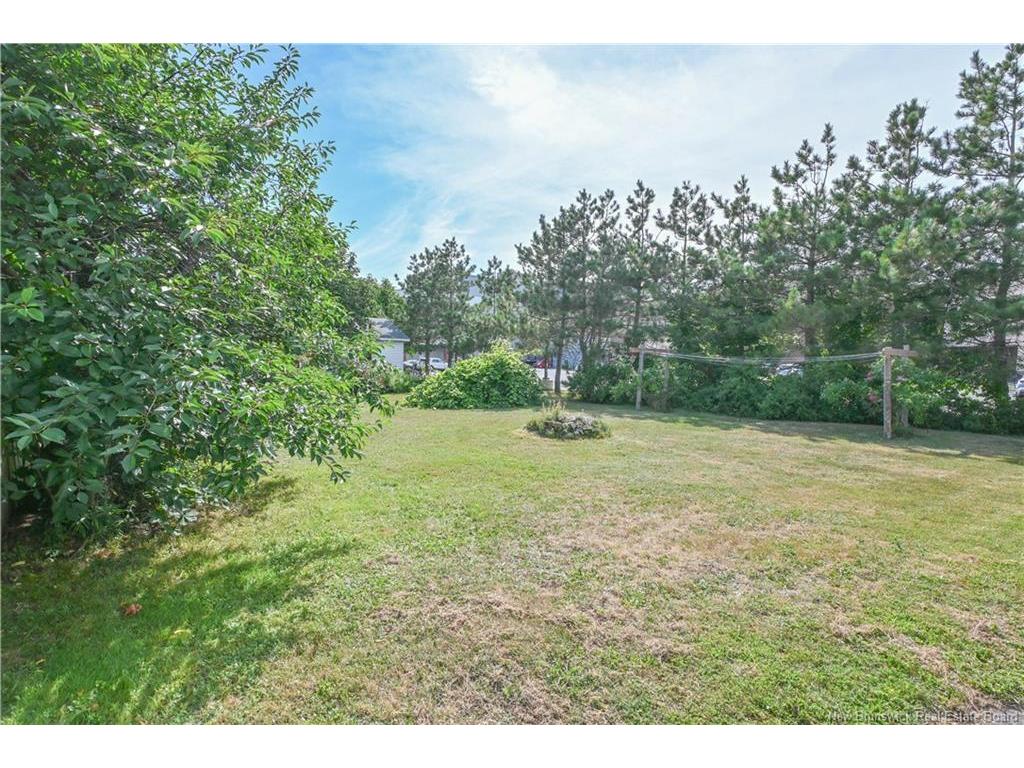 









225


de l'Eglise

AVE,
Shippagan,




NB
E8S 2K4

